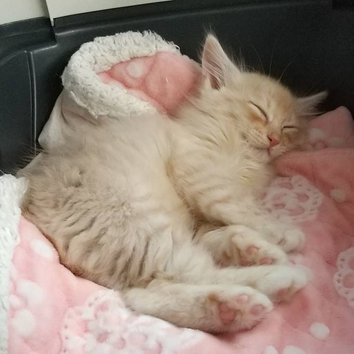 6e9c63c1 9b82 4583 9418 bdb38edc9cab 1602570745659