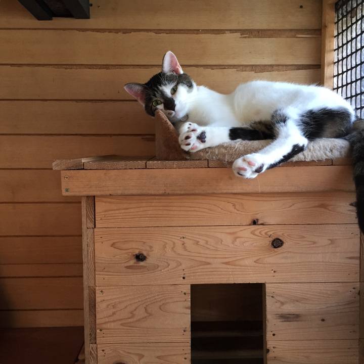 6e9c860a 99cb 4ba8 881c 27a1a3ff2cd7 1570754937379