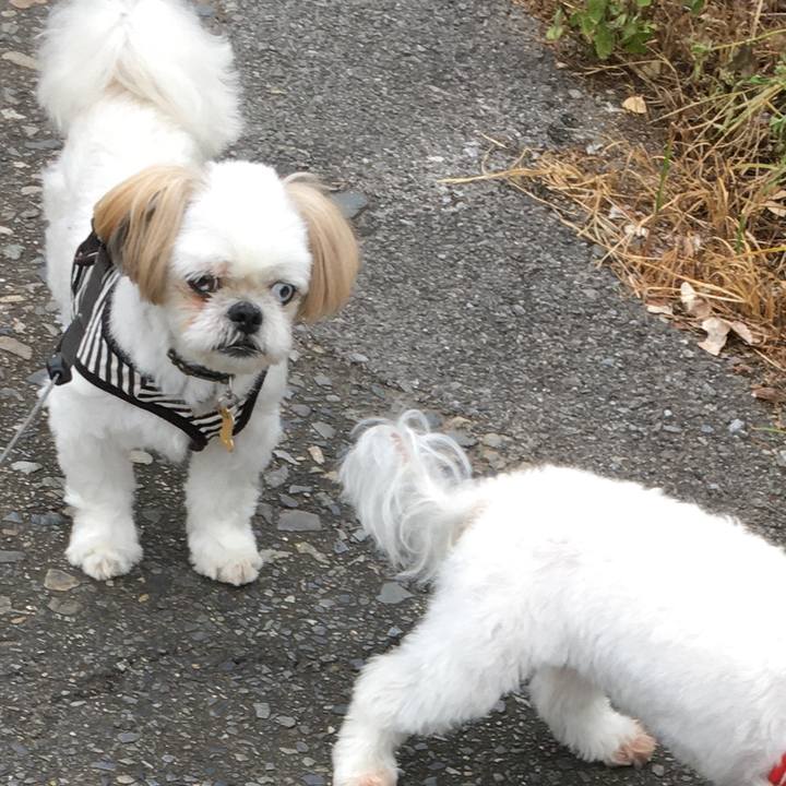 6e9cdef2 3334 452e b68b 26a07c78f4d5 1597879586090