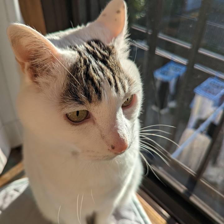 6e9cee64 0647 4c99 b7d1 695673b2276a 1678442644251