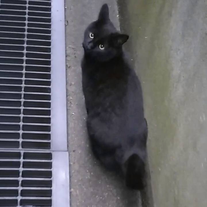 6e9cf215 0c5c 476b a867 df539853b6e5 1554887866272