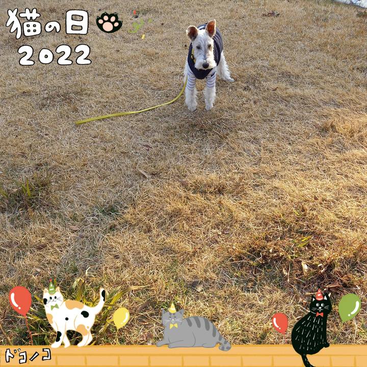 6e9cf7cb e4e4 473a b46e 8aefd8d02eb8 1645489656083