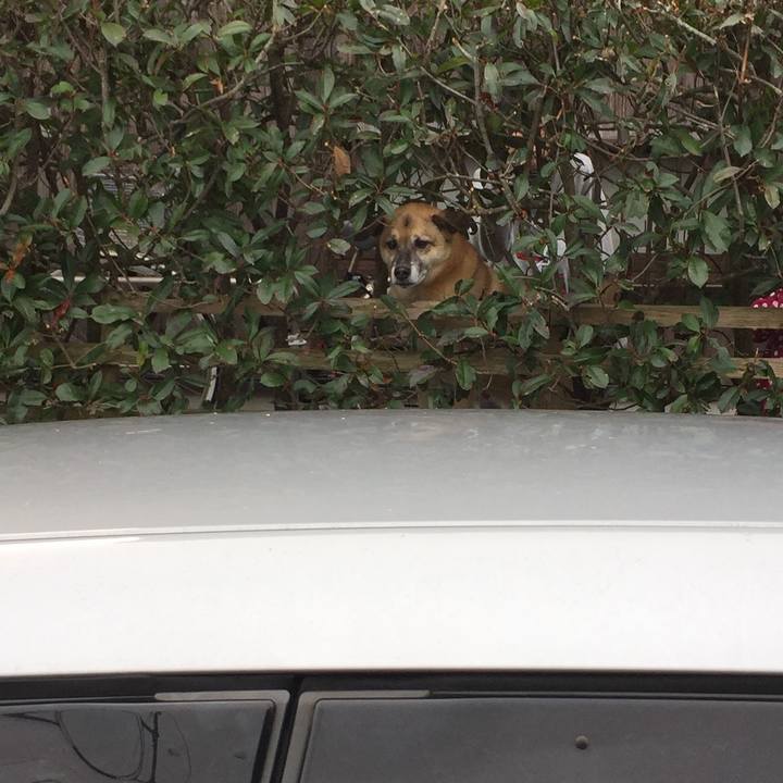 6e9d0eca cc7b 4dfd b535 256d086679e5 1514689743896