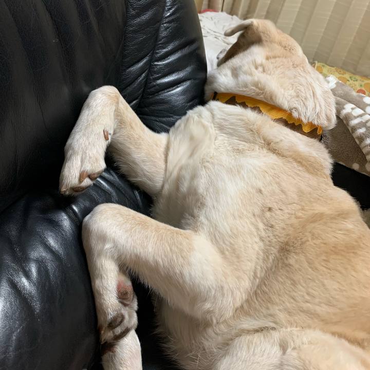 6e9d5393 f5d0 4be7 a239 ee70efbacdc4 1641309942024