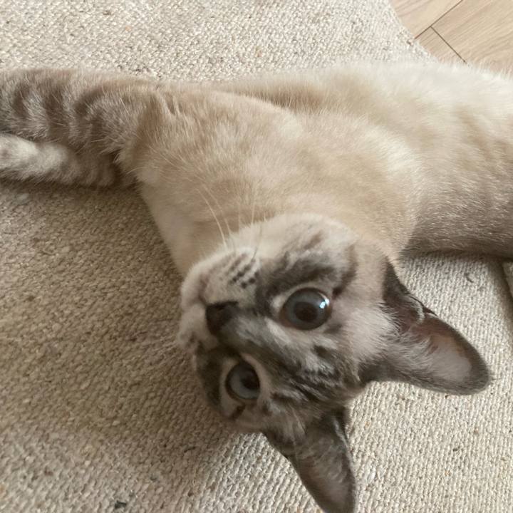 6e9d91bd f18e 4603 8818 8e9a47765a77 1685921310271