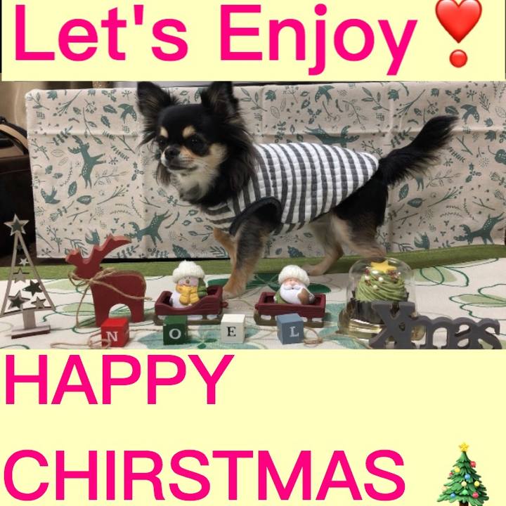 6e9dbc5f d700 4967 a372 6f4086749e52 1577147146375