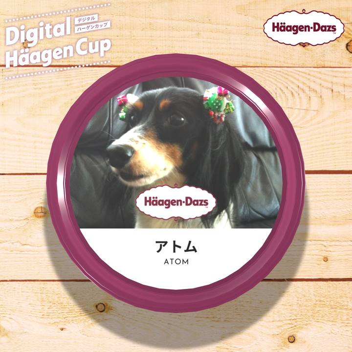 6e9dcb1b 3c63 4d45 99ac b4885a45487f 1607663512724