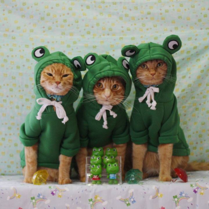 6e9dcc80 769e 4a4f 98a1 f89cb42b00bb 1749522360428