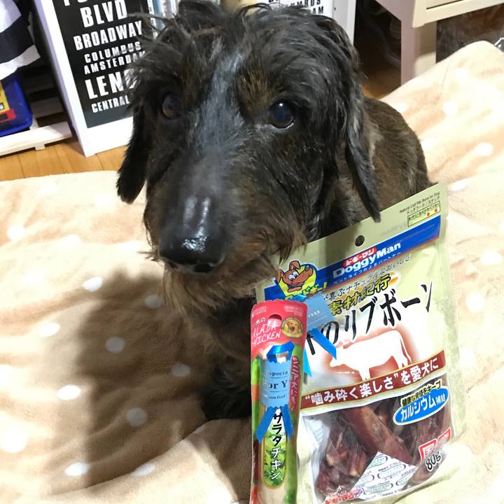 6e9de03e c259 431f 963c ba0ec689084b 1544536055997