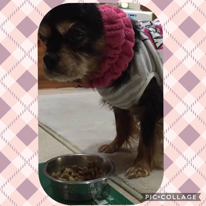 6e9e22f8 74a3 4596 a39e 098c665e3dd2 1549942942201