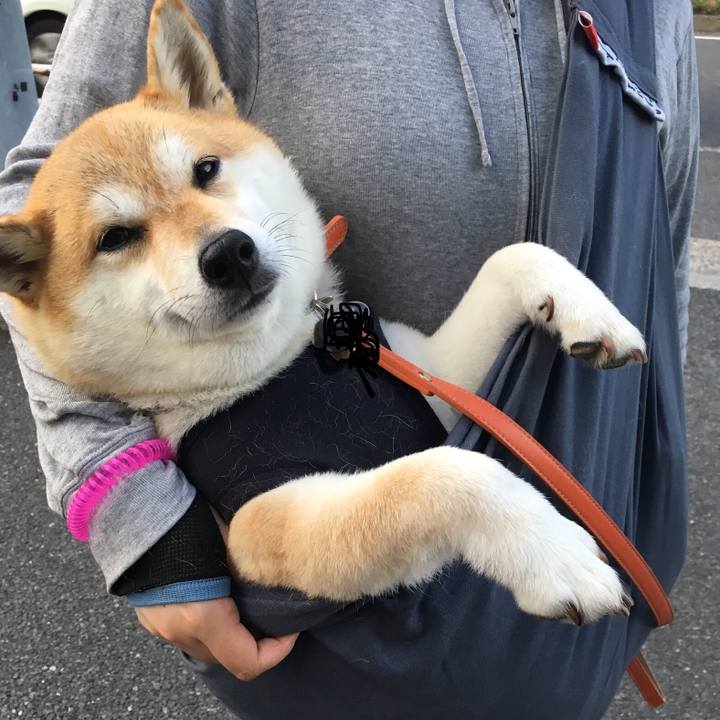 6e9e2aec f22f 4d1c 9e85 de786d05c097 1559643539496