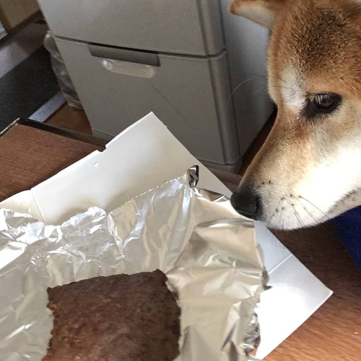 6e9e2eca 784e 4566 908f a09c5323d006 1577582438341