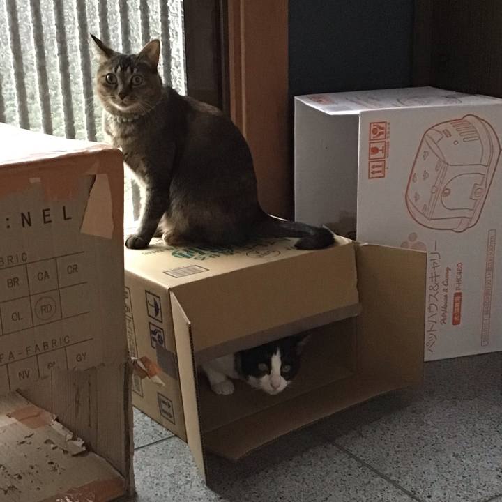 6e9e3afc 3916 4d59 bc12 b70f8f550511 1640385263685