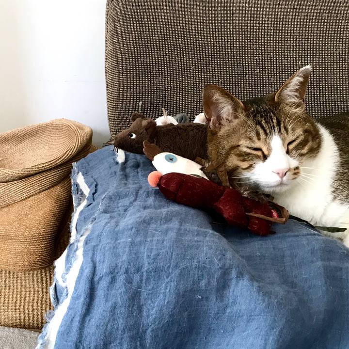 6e9e9a56 b92a 4010 9ea9 c902fca02b04 1554428936019