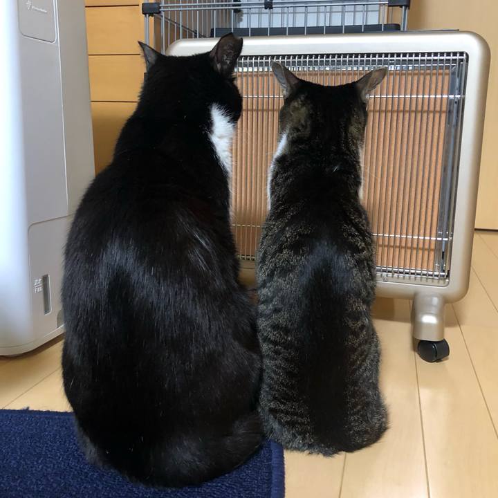 6e9e9ea7 d348 4096 8418 4728644ebd14 1643321112190