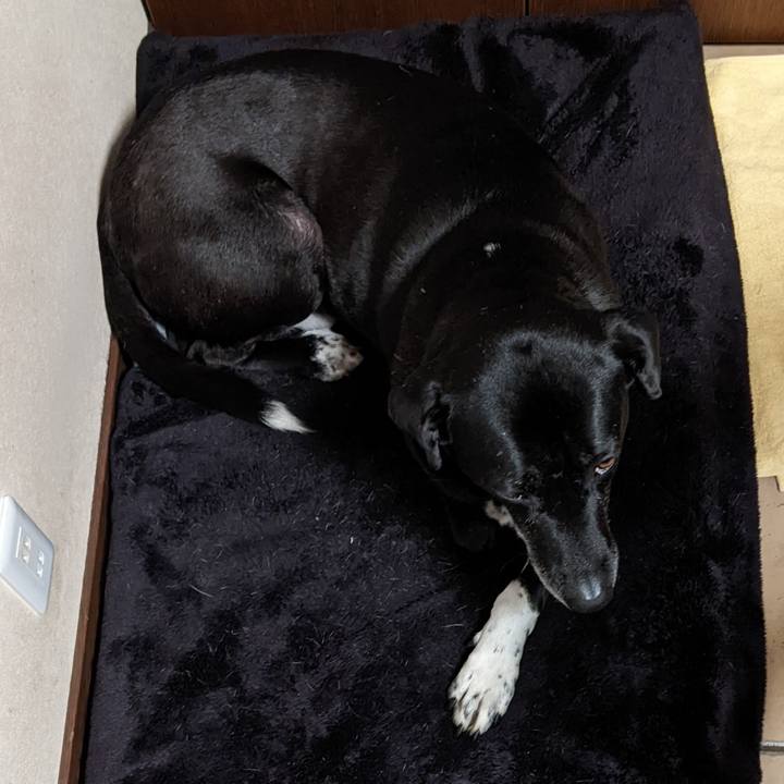 6e9ea976 fcf1 4c95 ac82 fb1a3fa649ff 1673087615491