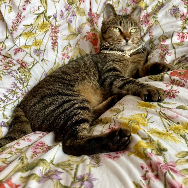 6e9eb625 5b7f 40ea 86f7 c0413c2b4936 1625142220701