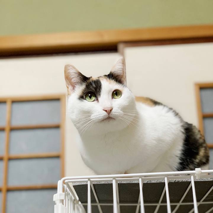 6e9ec122 f373 4975 b280 2a84a498f487 1553222752092