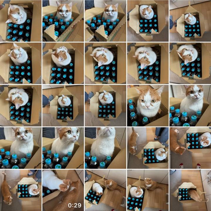 6e9ef1da 65ba 4211 8c93 d2cfbf73db7f 1754362551142
