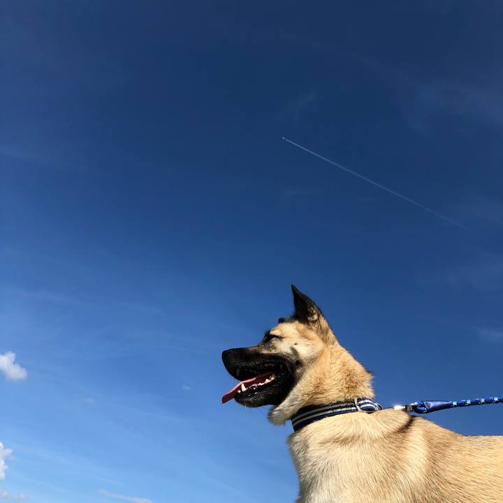 6e9f47e1 6569 44fa bf2f 05089cfe71b2 1539507648774