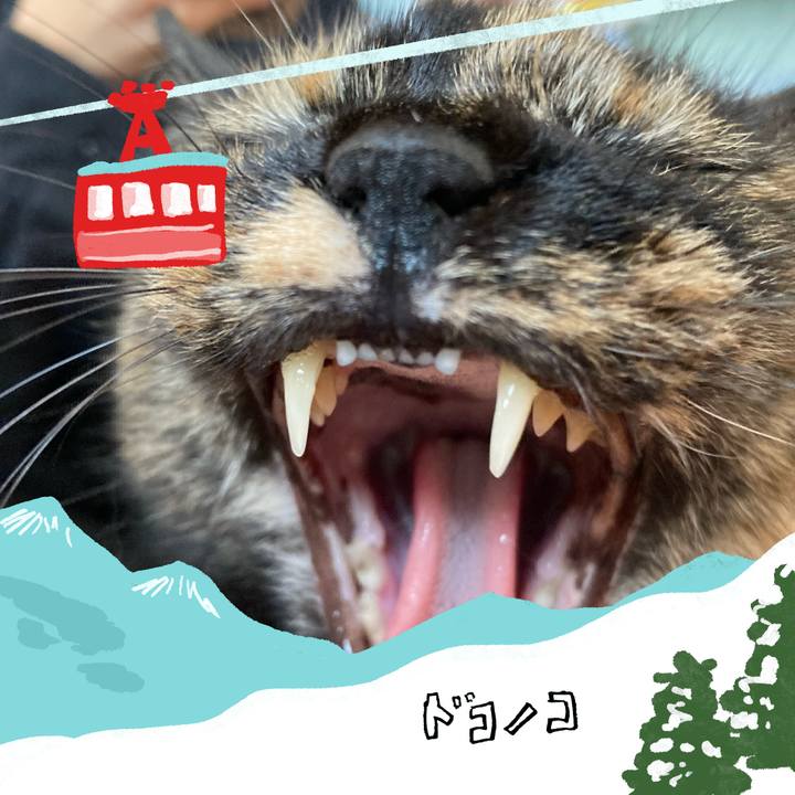 6e9f65d9 cff8 430c 9dcd 3a298fd83baf 1706879174647