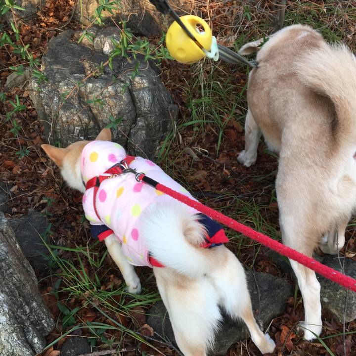 6e9f6de8 a360 4b71 863b a31409691a1b 1516677121302