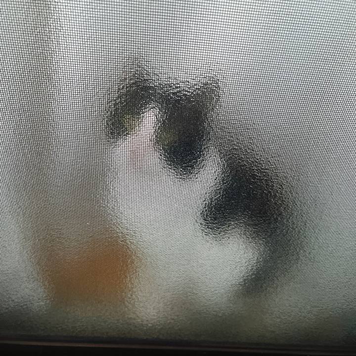 6e9f71b1 b697 46ac 8a60 115291ad8c49 1640004765411