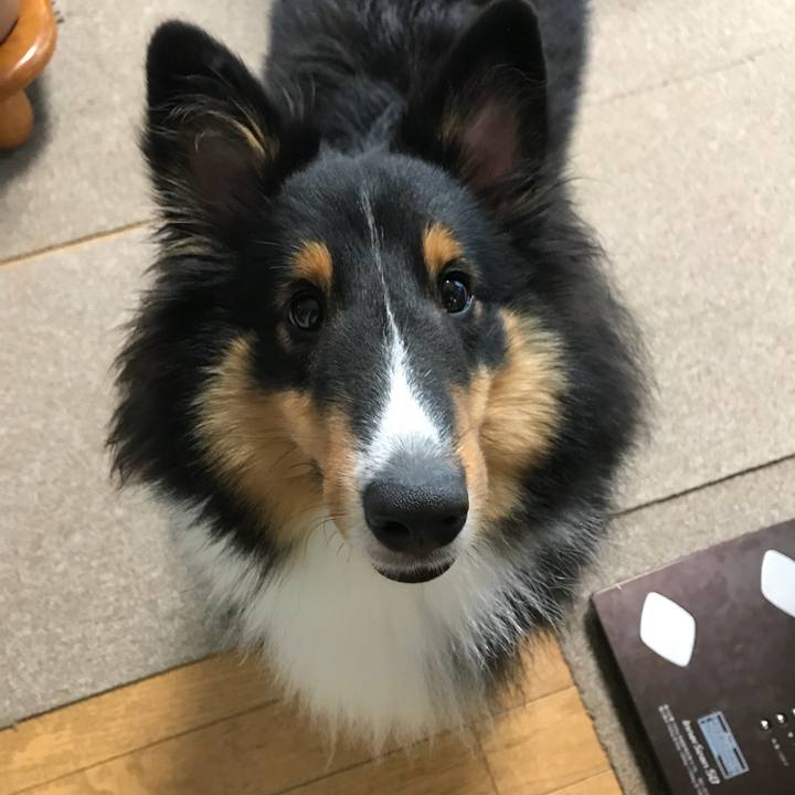 6e9f7591 89ab 42c3 b63d 097e180bf3c4 1535322009486