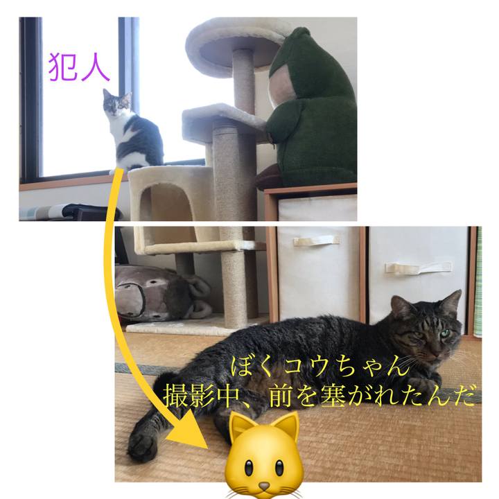6e9fa2ae cbb5 4ee3 ac3a 698e607d0c31 1626578749456
