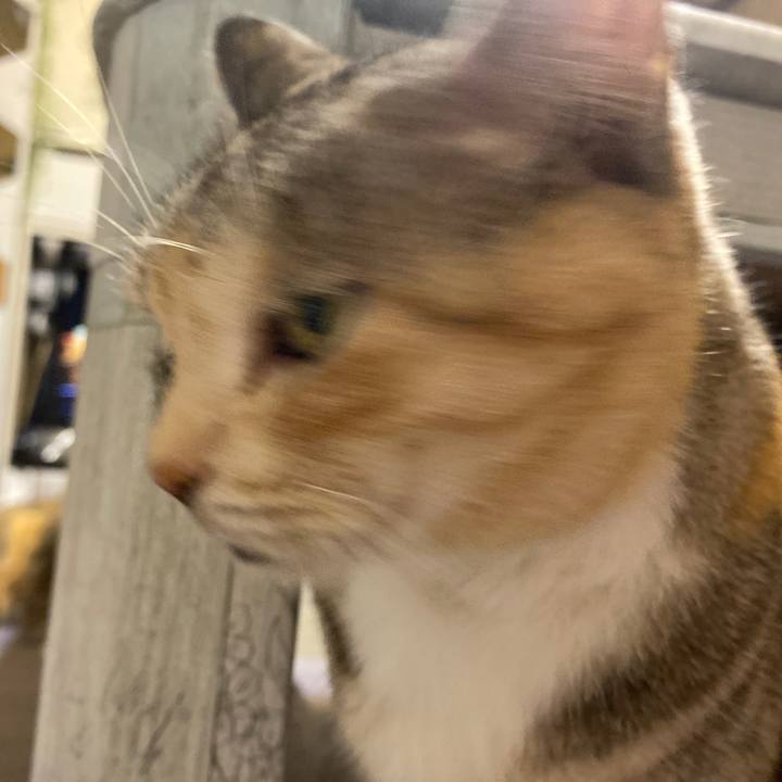 6e9faec7 6497 4d83 a7ad 9c3935907477 1622295868545