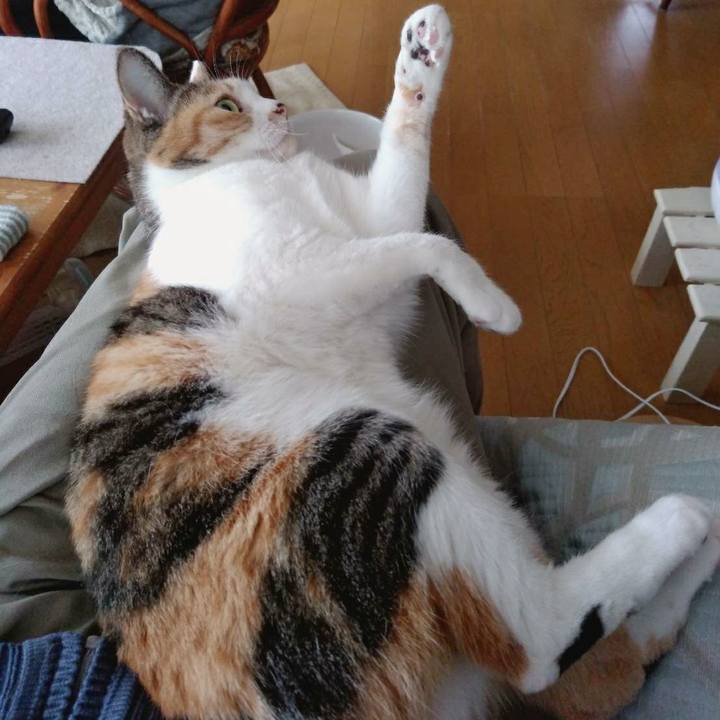 6e9fbac9 334d 4bc6 9bcf 8c8899be7341 1584965327660