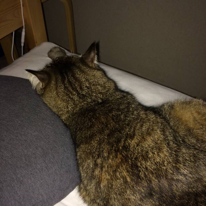 6e9feacf 2dac 4ba4 a4b7 c35217951828 1552950139853