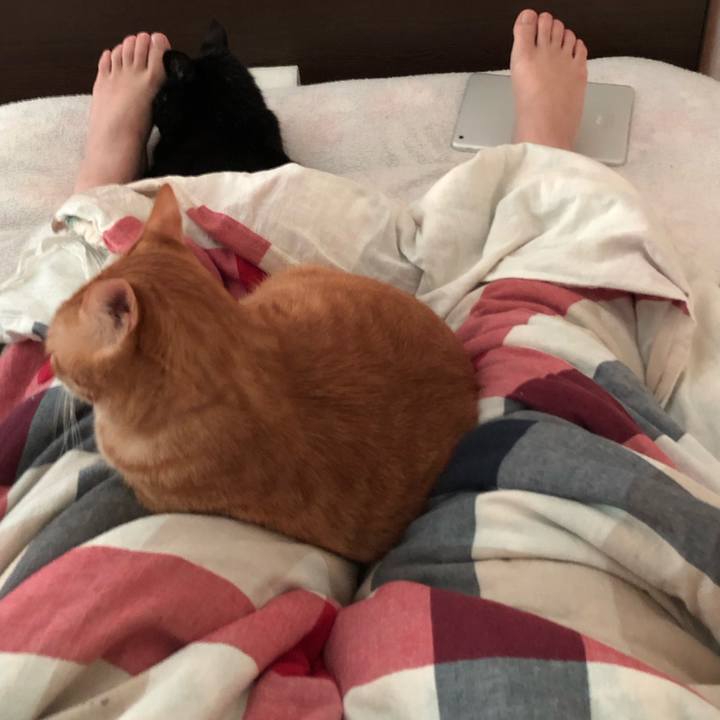 6e9fec51 d865 424c 89cf 0e2a26a4b978 1567542552411