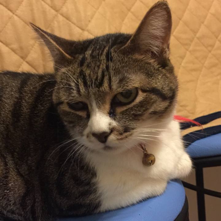 6ea00c6a d1f1 4845 a290 d7a1f67faf17 1560951731575