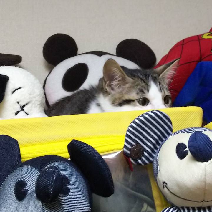 6ea082ea b83d 41f0 a1cb 1fad2c39bb88 1609591684967