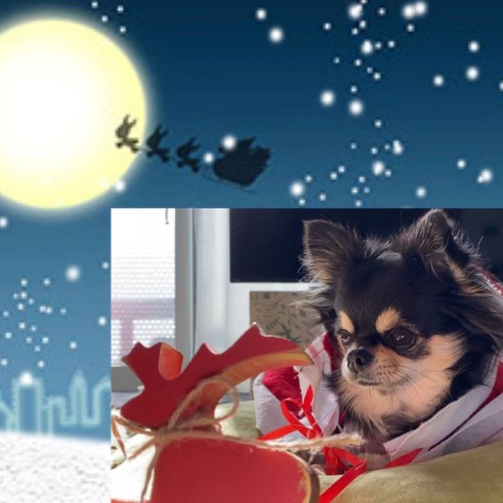 6ea0959c a46d 4061 8e45 2d54345da8ba 1608346225491