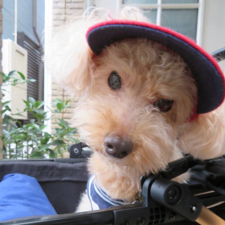 6ea099a2 5f4e 4335 be94 32b3e90d9ee0 1761054552493