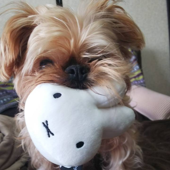 6ea0cdd5 b814 4cbe afeb bee7183f6808 1518920540125