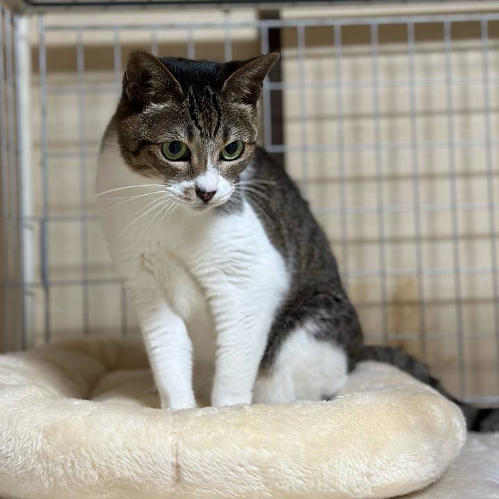 6ea0f8cd 6c1e 4a30 9a49 7e0e9d2bf50c 1665455160509