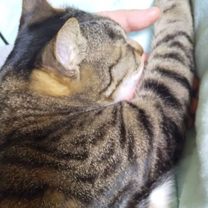 6ea125ac 94a7 4d1b 82c5 234d09f61e39 1649074246229