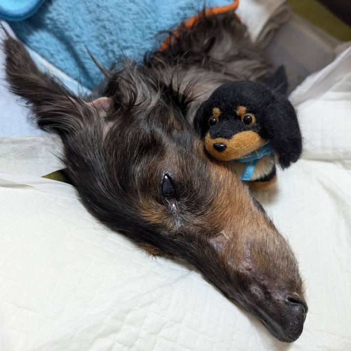 6ea159ad 05a7 4f69 a743 579553466415 1772922981507