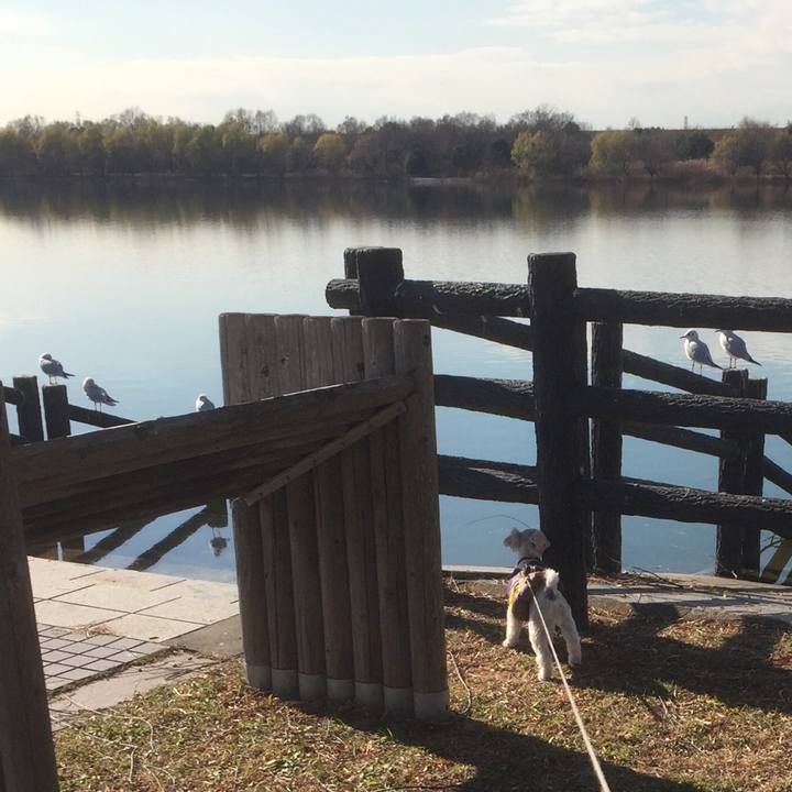 6ea17876 5a44 47e7 a25b ca82f47a4d17 1513578089878