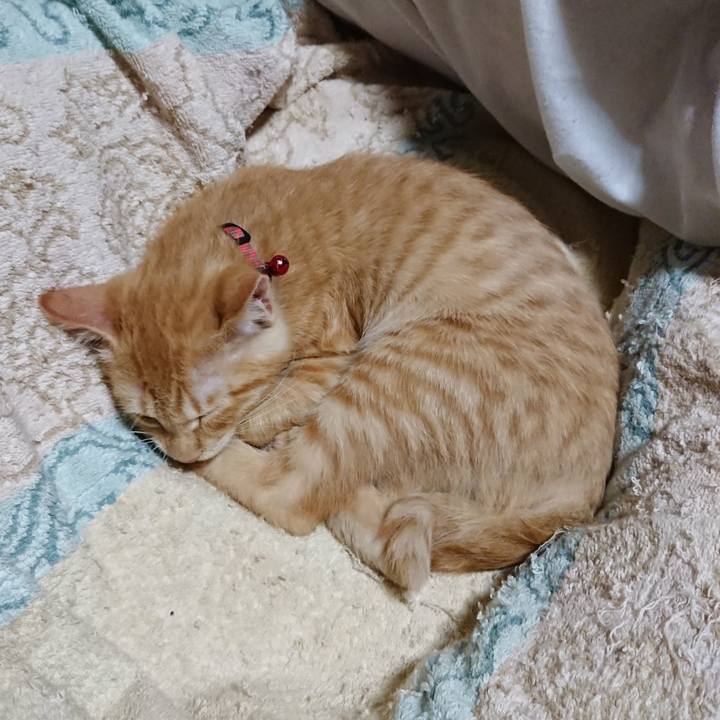 6ea17d69 6d1f 4c77 a372 68d6e0471450 1632832562818