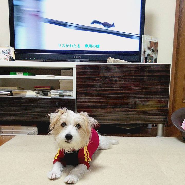 6ea180dc a171 403a a7dd 9faa8cf7a136 1575238573399