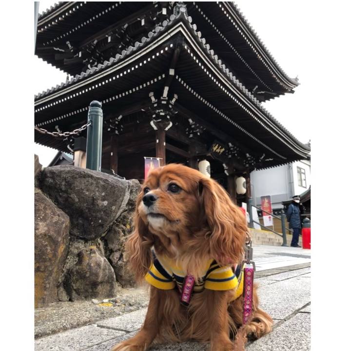 6ea18502 6a77 438f 999d 403991694631 1643418098411