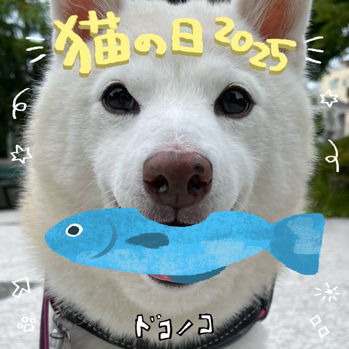 6ea1b3e0 f87d 4d4e a45d 44e7d8d94758 1740225792048