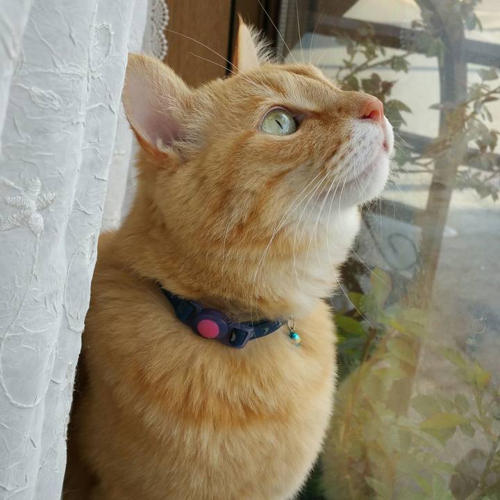 6ea1b97c 7fb8 4111 859b 7211ca1845a8 1523261233944