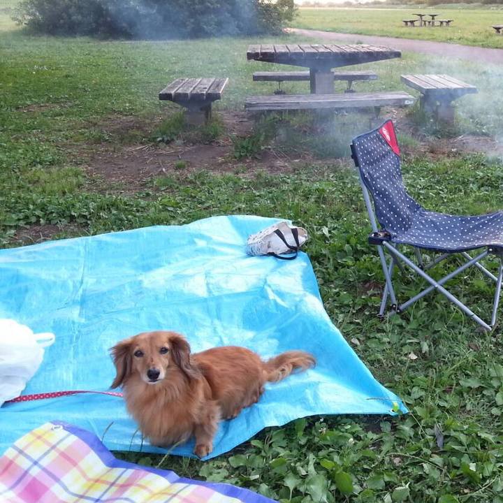 6ea1d8b0 a644 43e4 a22a bea549ac237a 1559136093656