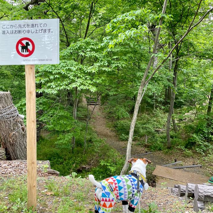 6ea28217 bada 4e6a a0a4 b595319f7a16 1652083674202