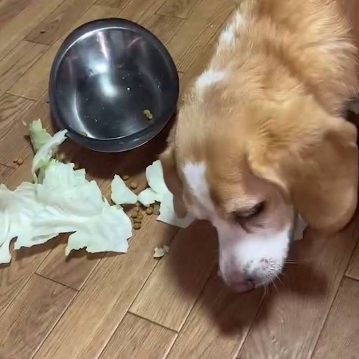 6ea28d9b d5af 41ff 8d15 8ec62c41fa2a 1664771780595